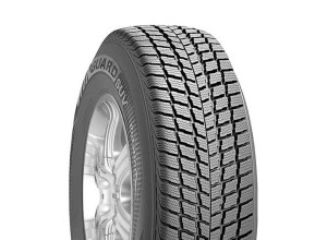 255/50 R19 Roadstone Winguard SUV 107V